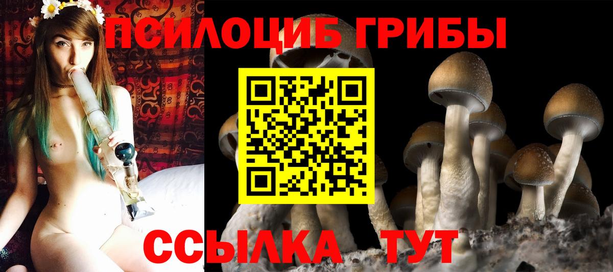 Псилоцибиновые грибы GOLDEN TEACHER Сланцы